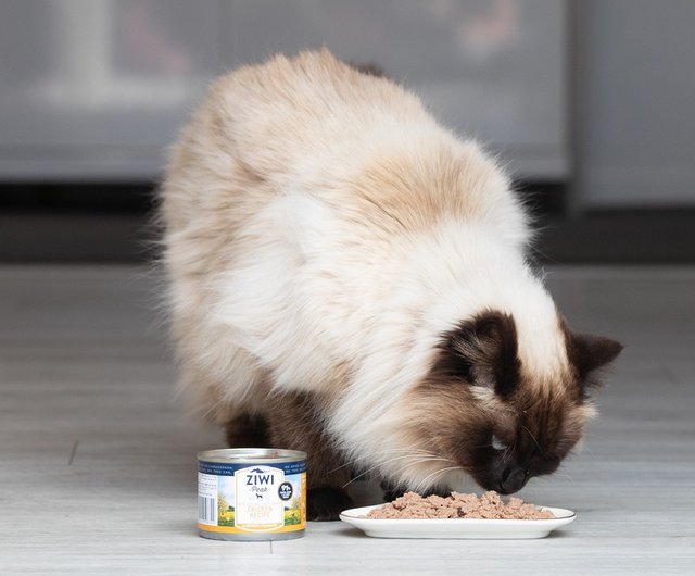 Ziwi Peak Cat Food