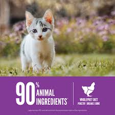 Best Orijen Cat Food: Top Picks for Feline Health!