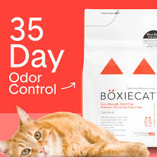 Boxie Cat Litter Reviews: Uncover the Purr-fect Choice!