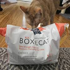 Boxie Cat Litter Reviews: Uncover the Purr-fect Choice!